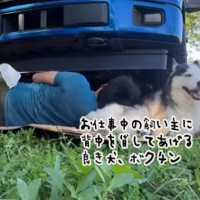 アイキャッチ画像